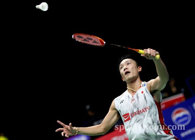 这样的行为 这样的行为